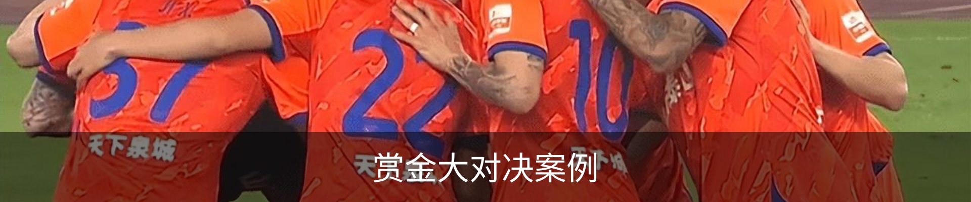 赏金大对决案例